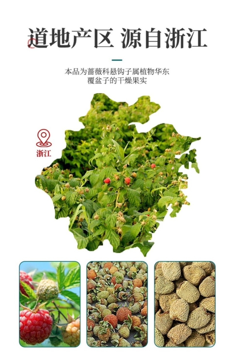 大粒浙江覆盆子干果正宗覆盆子泡酒泡水特级覆盆子产地优选