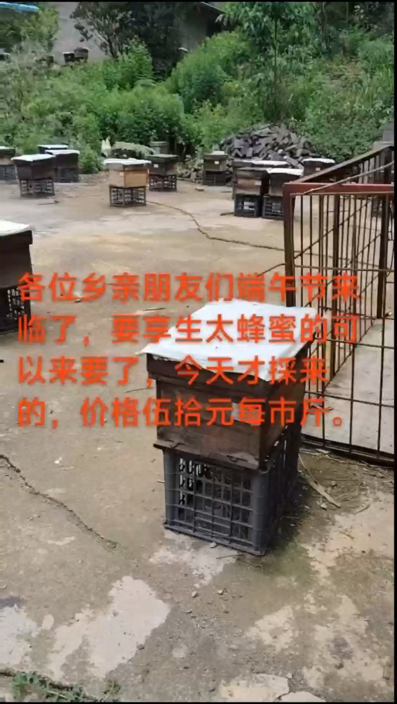 生态百花蜂蜜，地址云南省广南具者兔乡者兔街上35号