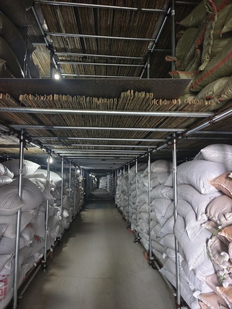 长期供应各种三樱椒一手货源品种齐全产地直供产地直发