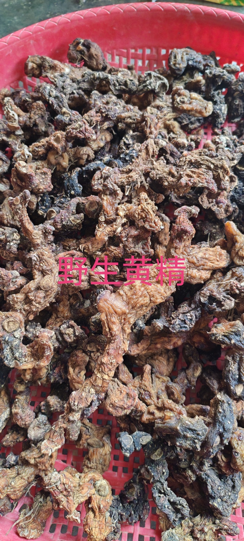 广西野生黄精姜型黄精干货