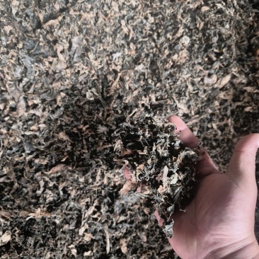 梅干菜，厂家直销，一手货源，量大从优，长期合作，合作共赢