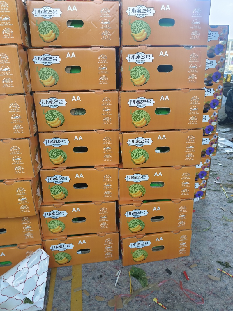 小蜜哈密瓜大量上市，产地直销，对接电商平台商超市场批发。