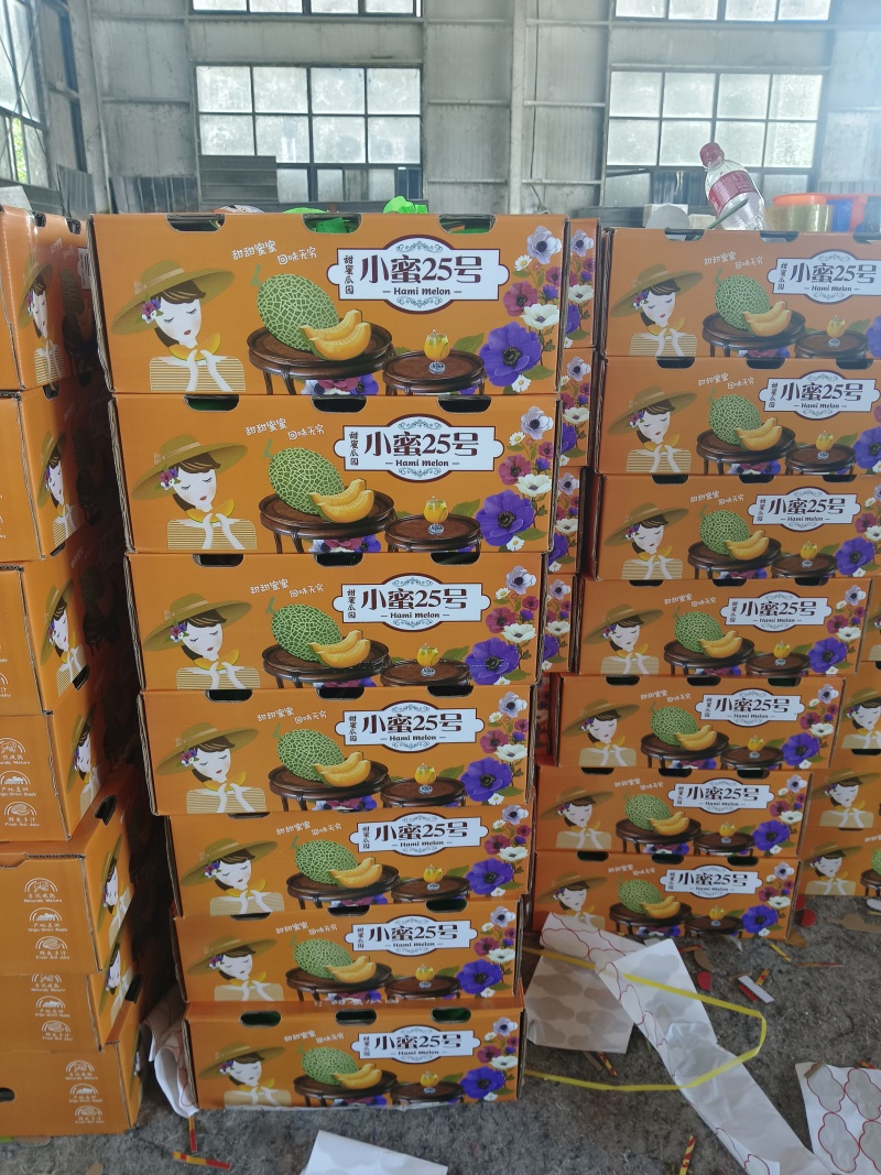 小蜜哈密瓜大量上市，产地直销，对接电商平台商超市场批发。