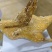 裹粉油炸鸭