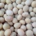 黄豆新货农家自种大豆粒批发非转基因打豆浆饱满豆子专用罐装
