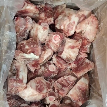 龙大后腿骨切块