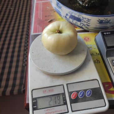 奶油蟠