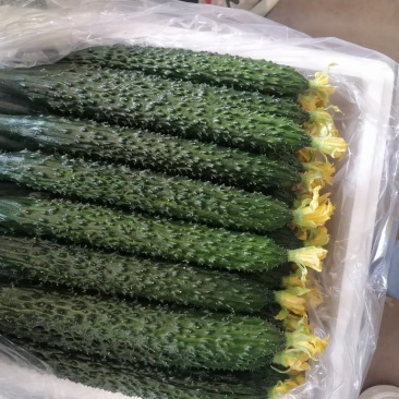 大包大刺大花
