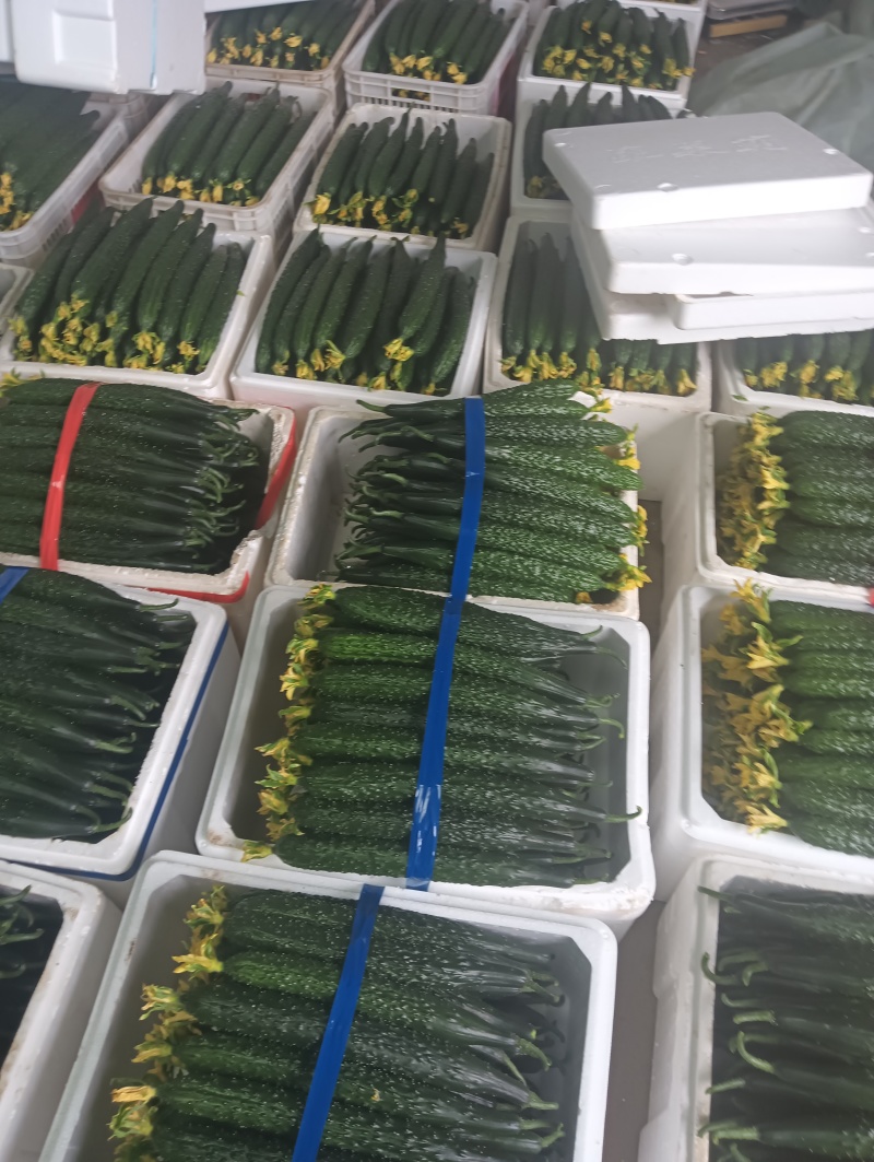 大包大刺大花