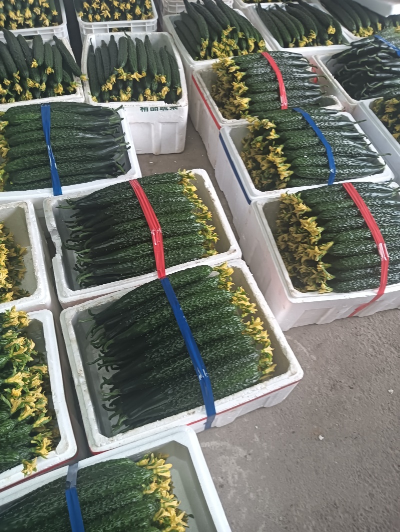大包大刺大花