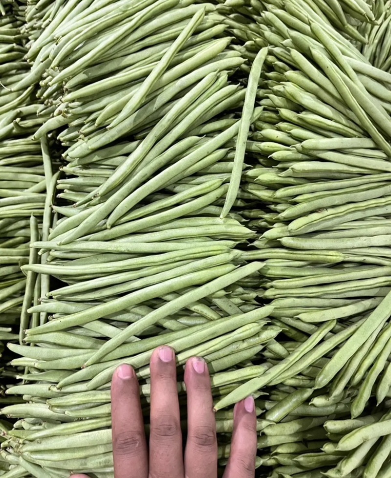精品小金豆，物美价廉，量大从优，规格齐全，欢迎下单