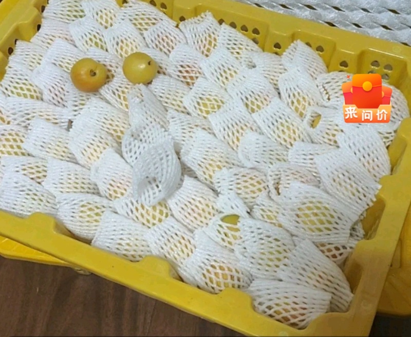 哈密市淖毛湖杏林基地“天山密王”品牌:吊干杏、胭脂红杏
