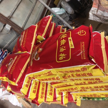发酵辣椒粕饲料改善肠道促食增重提高产蛋