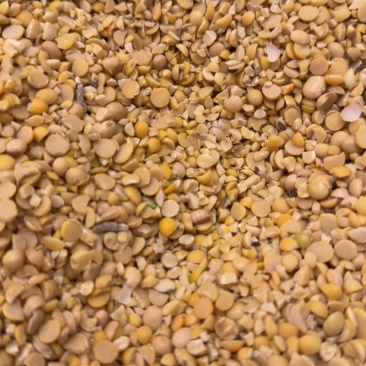 碎黄豆瓣