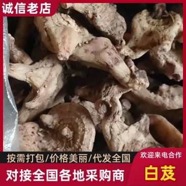 云南白芨中药材根茎白芨自产自销量大从优