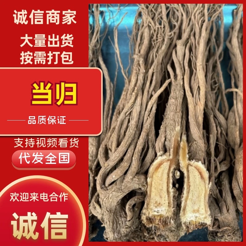 甘肃当归中药根茎中药材优质当归头可视频看货