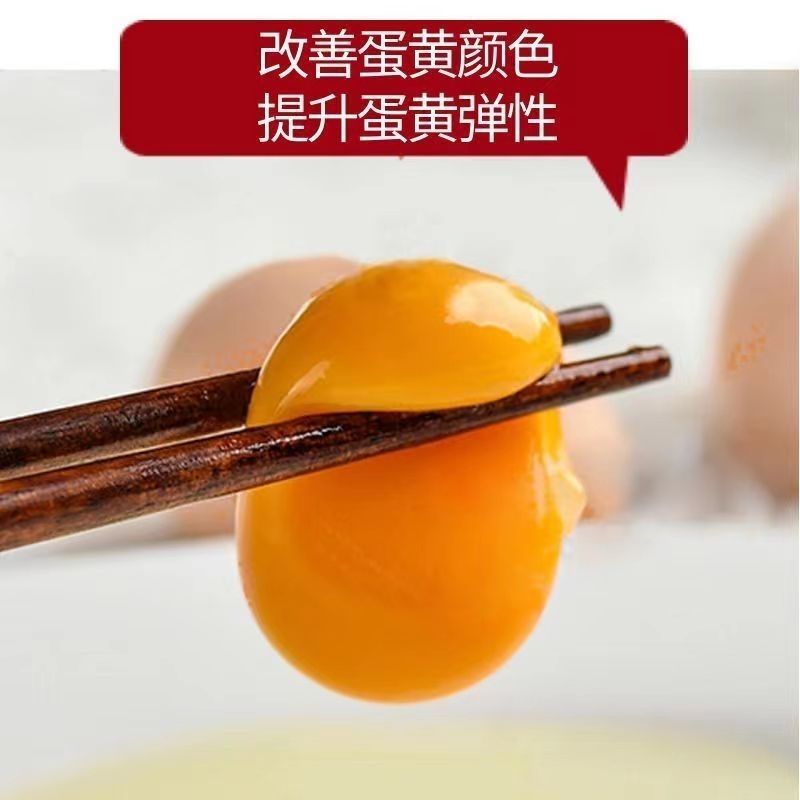 发酵辣椒粕饲料改善肠道促食增重提高产蛋