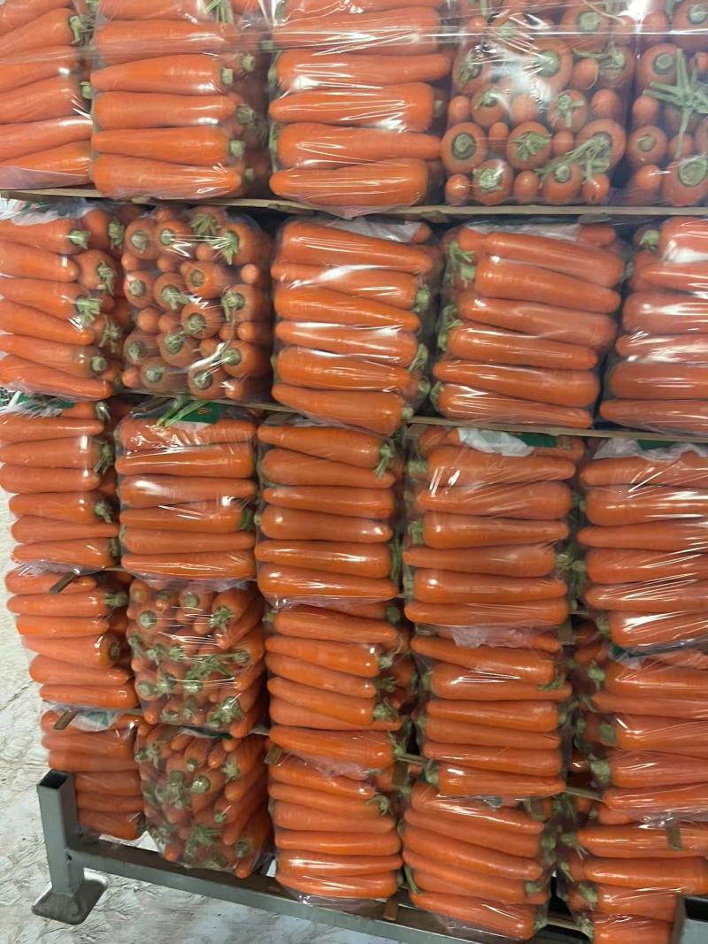 优质胡萝卜抢货！！！各种品质，产地直发，源头产地。