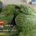 上海青快菜菜心菠菜黑叶白代收代发