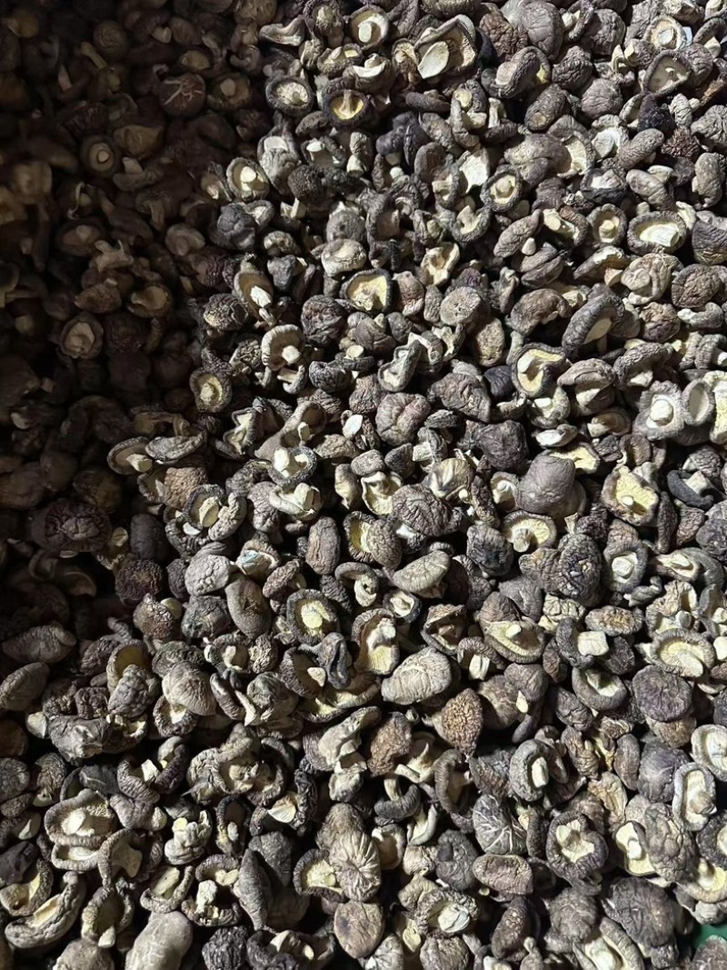 泌阳干香菇肉质厚规格全产地直发货源充足
