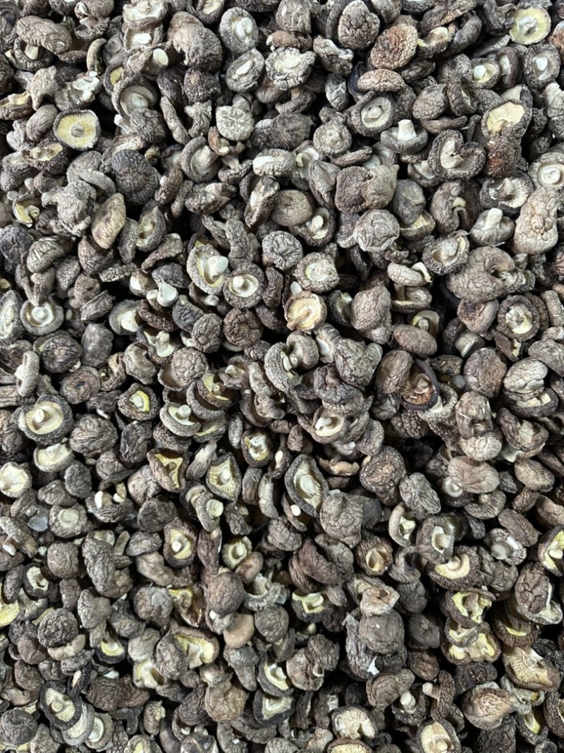 泌阳干香菇肉质厚规格全产地直发货源充足