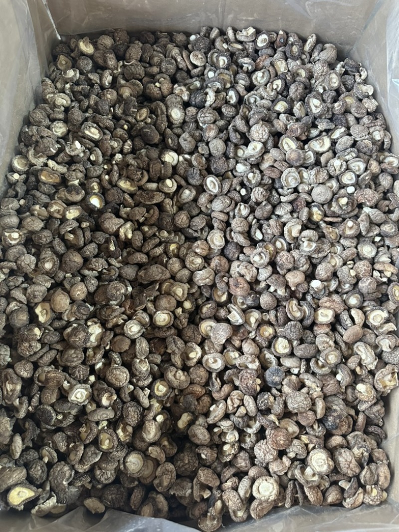泌阳干香菇肉质厚规格全产地直发货源充足