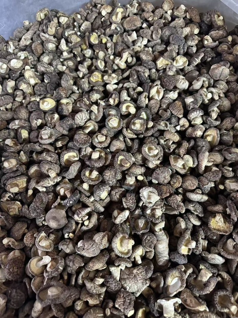泌阳干香菇肉质厚规格全产地直发货源充足