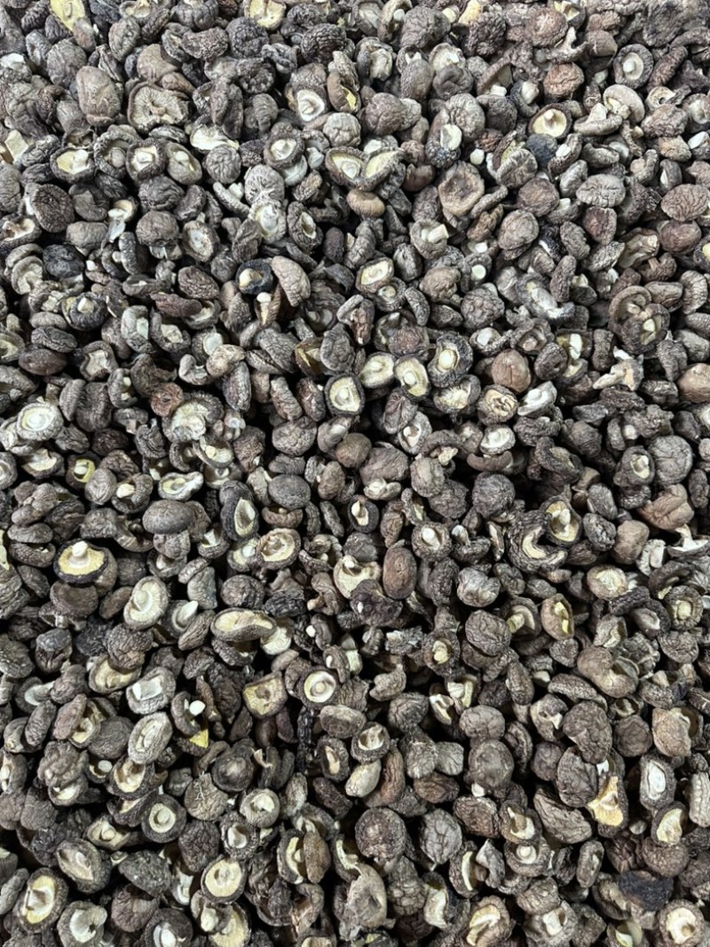 泌阳干香菇肉质厚规格全产地直发货源充足