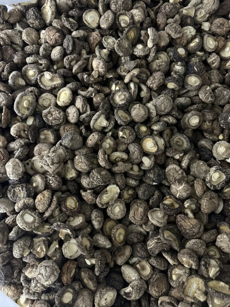泌阳干香菇肉质厚规格全产地直发货源充足