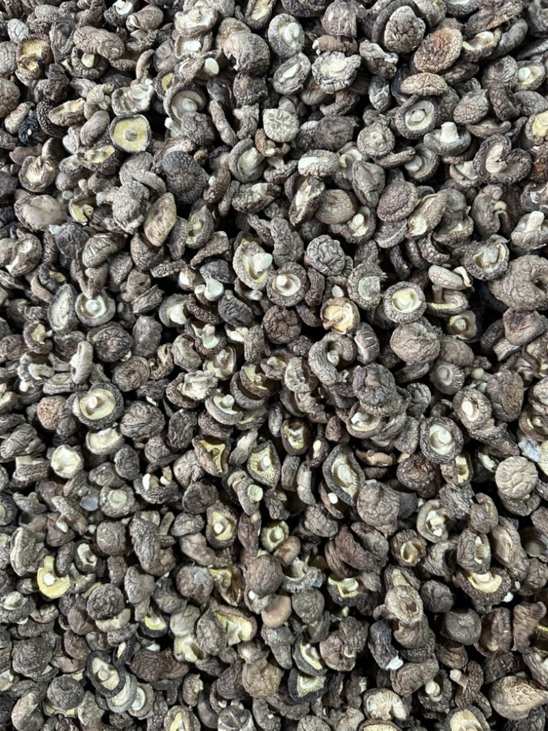 泌阳干香菇肉质厚规格全产地直发货源充足