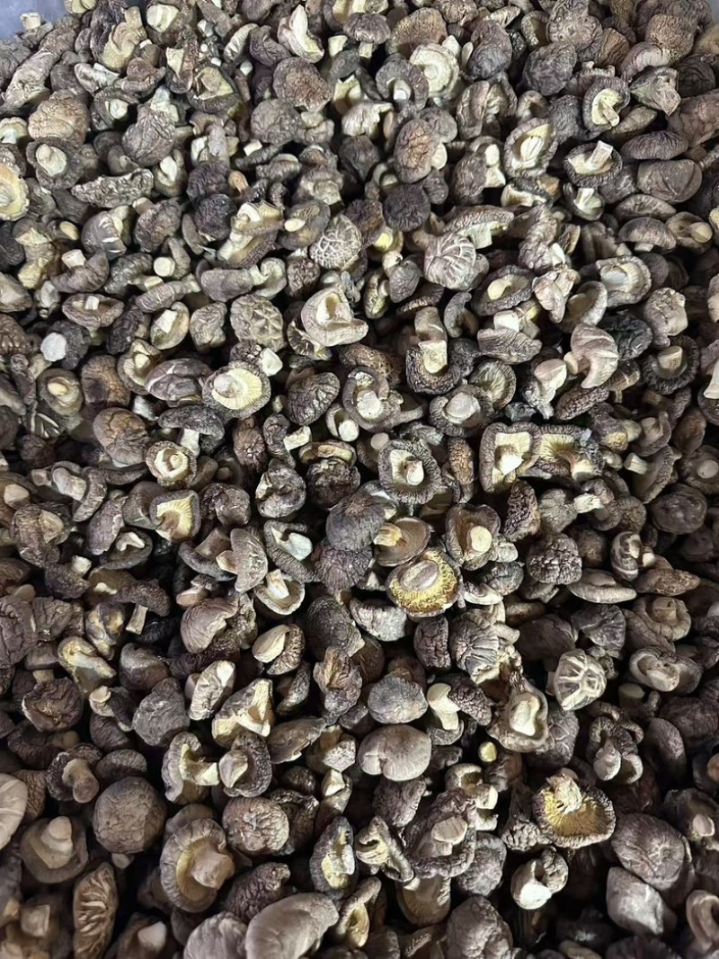 泌阳干香菇肉质厚规格全产地直发货源充足