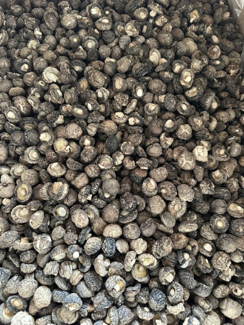 泌阳干香菇肉质厚规格全产地直发货源充足
