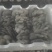 甘肃省甘南藏族自治州卓尼平菇