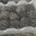 甘肃省甘南藏族自治州卓尼平菇