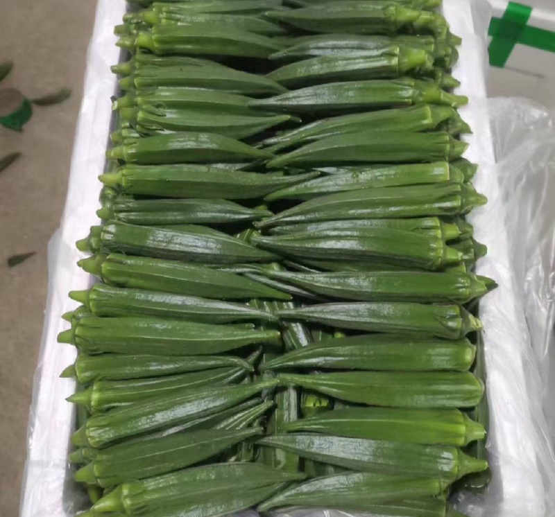 精品水果秋葵