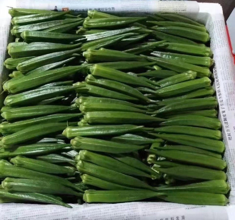 精品水果秋葵