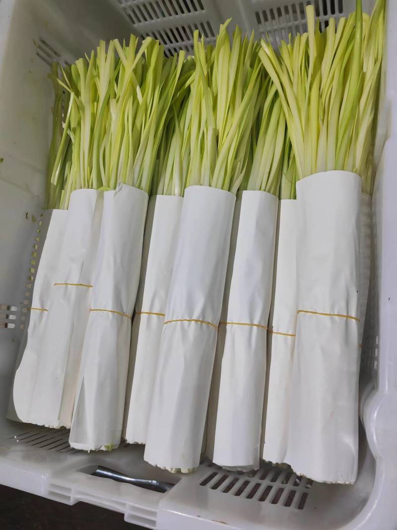 精品小把