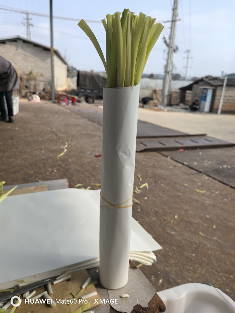 精品小把