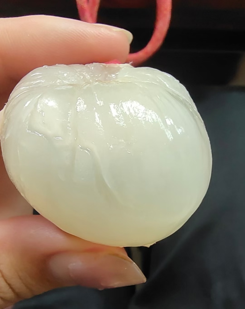 桂味荔枝