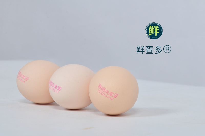 河北虫草鸡蛋厂家供应，对接市场商超团购等，欢迎老板咨询。