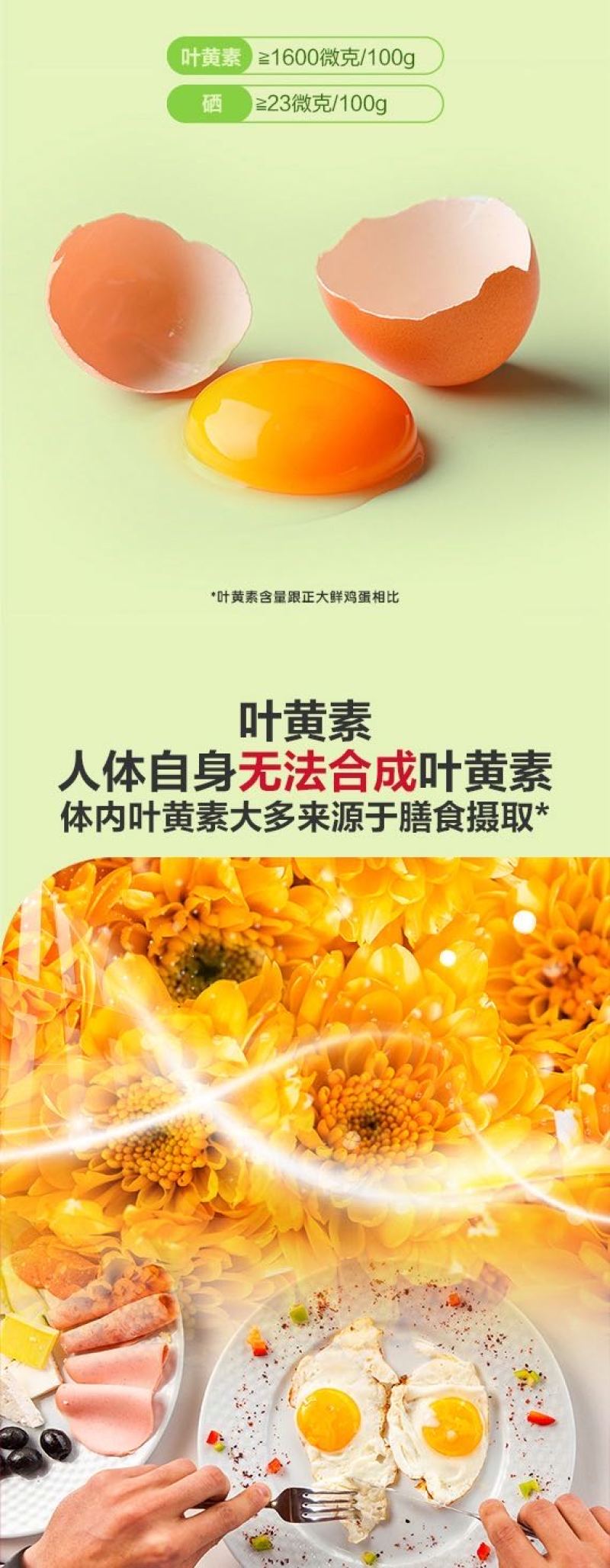 河北虫草鸡蛋厂家供应，对接市场商超团购等，欢迎老板咨询。