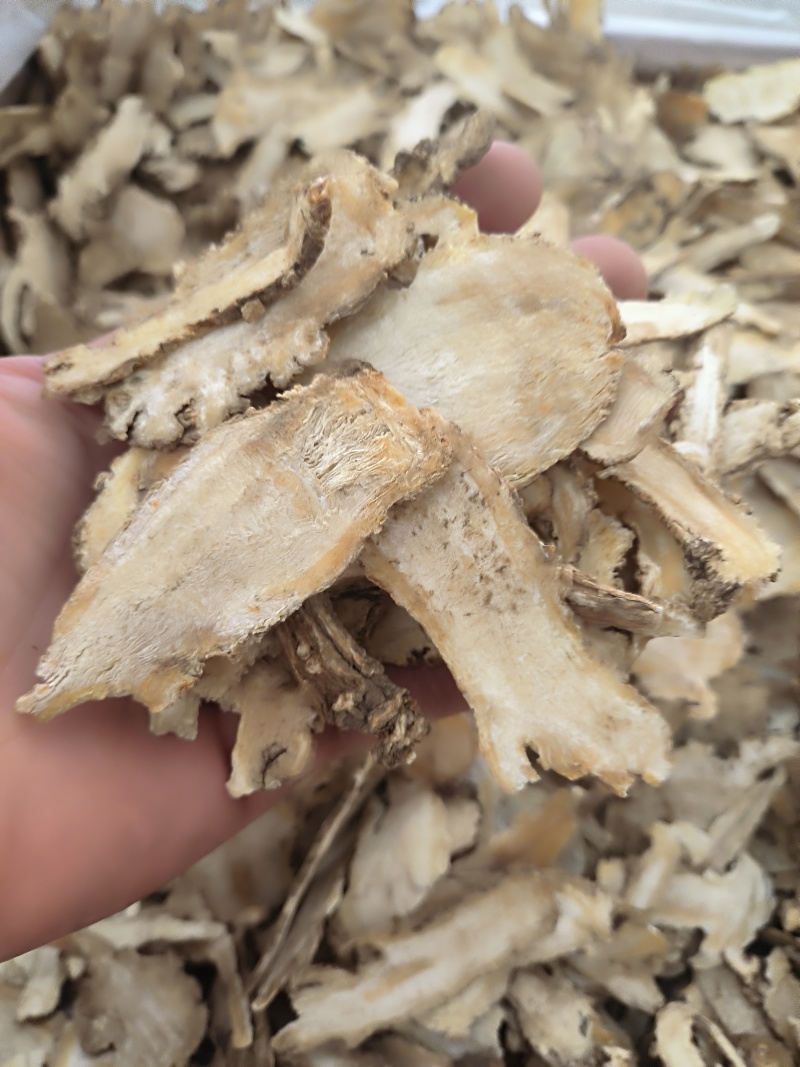 当归头片甘肃正品货无硫过1点零以上的筛子