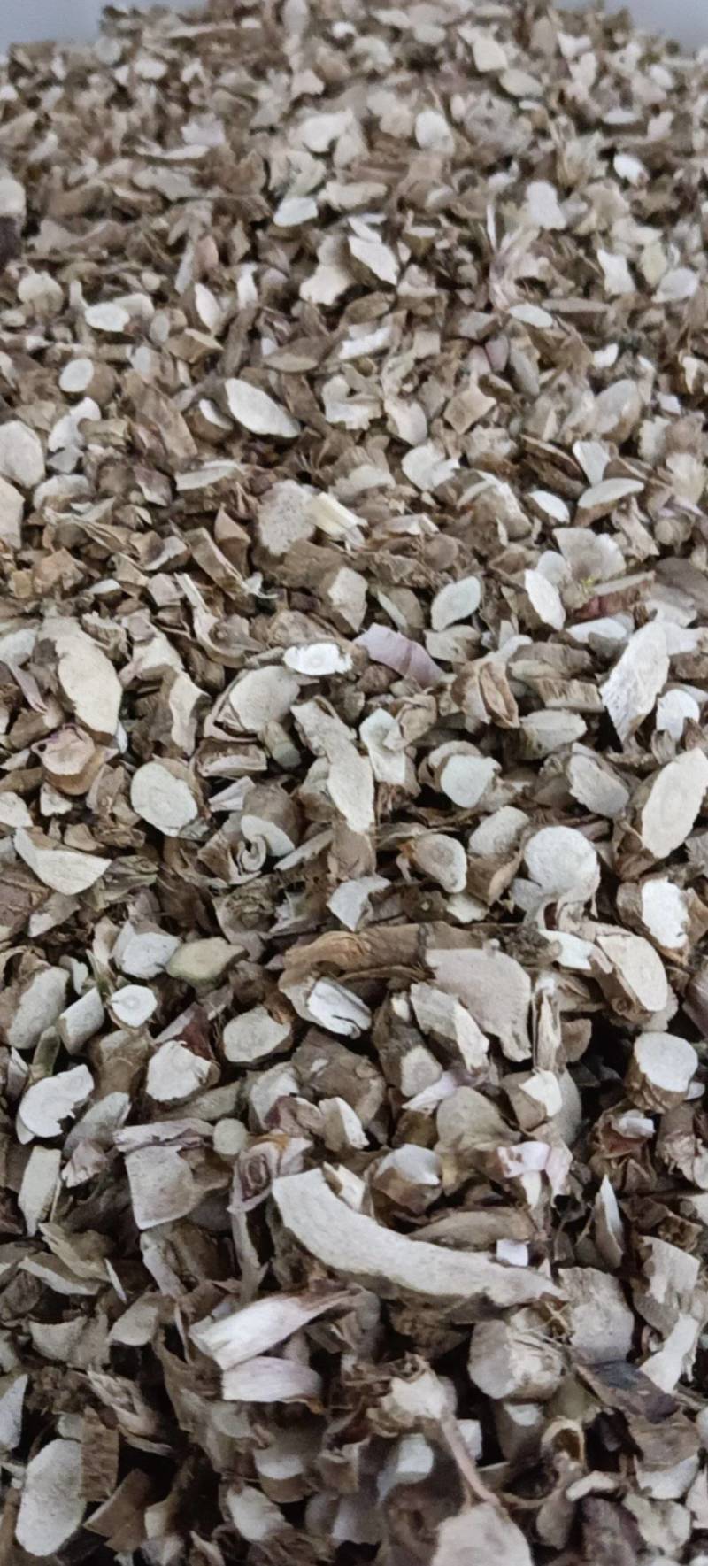 新鲜石菖蒲价格美丽正品保障长期供应