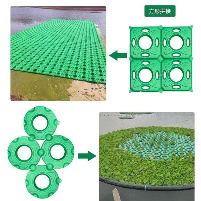 人工生态水培浮岛漂浮浮床水上种植水生植物绿化造景河道水稻