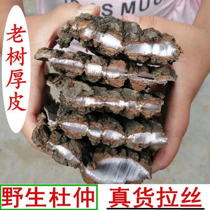 【正宗】盐炒杜仲皮一等品批发杜仲茶泡水泡酒野生杜仲