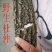 【正宗】盐炒杜仲皮一等品批发杜仲茶泡水泡酒野生杜仲