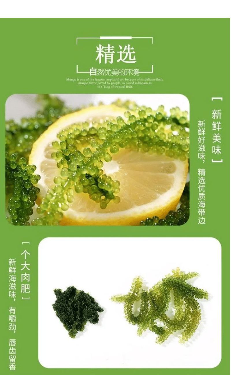 海葡萄