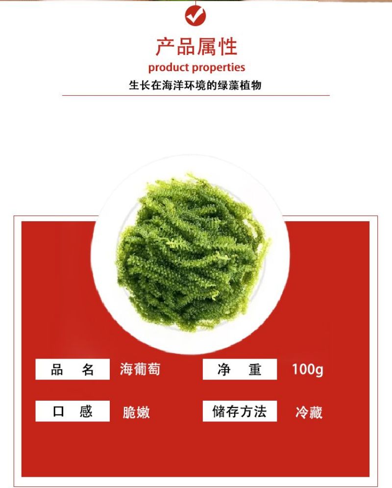 海葡萄