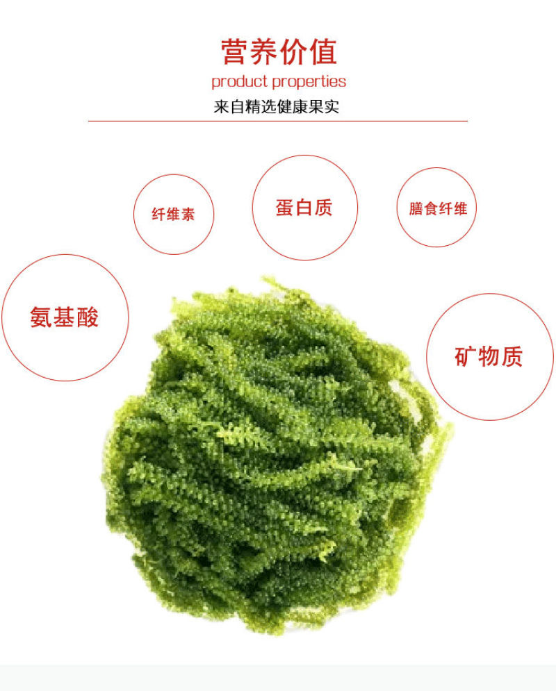 海葡萄