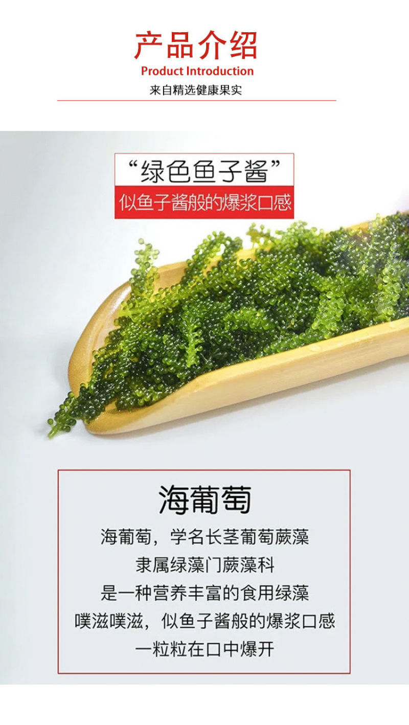 海葡萄